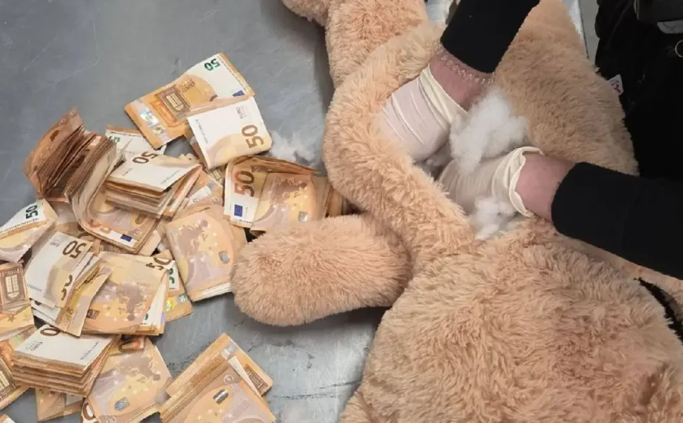 Hollanda’da oyuncak ayının içinden 50 bin euro çıktı