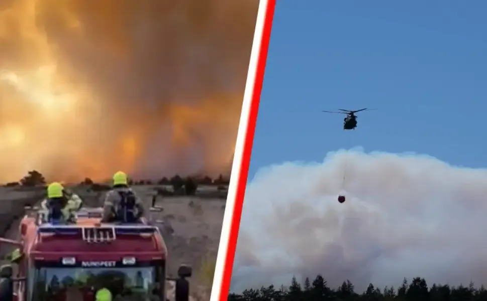 Hollanda’da askeri bölgede çıkan yangında 700 futbol sahası kadar alan yandı
