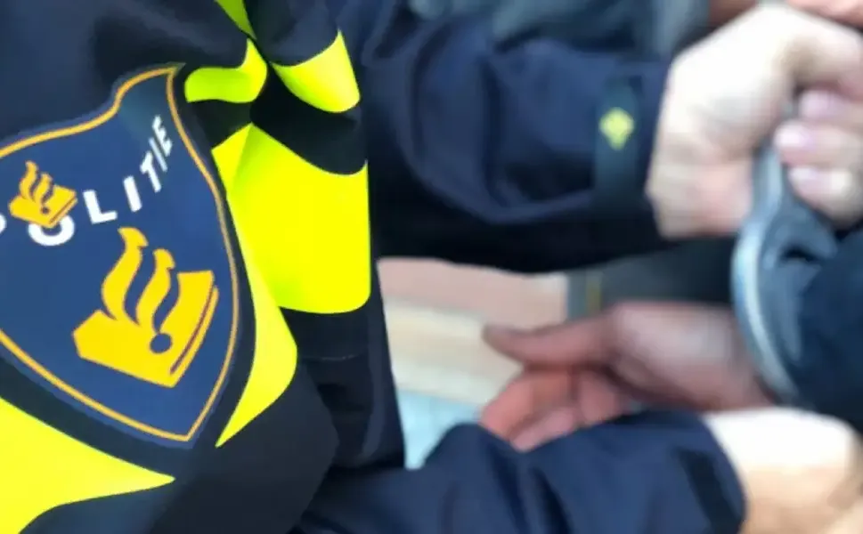 Hollanda’da kızlarını okula göndermeyip zorla çalıştıran ebeveynler gözaltına alındı