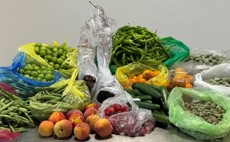 Almanya’da Türkiye’den gelen çiftin bagajından 60 kilo meyve ve sebze çıktı