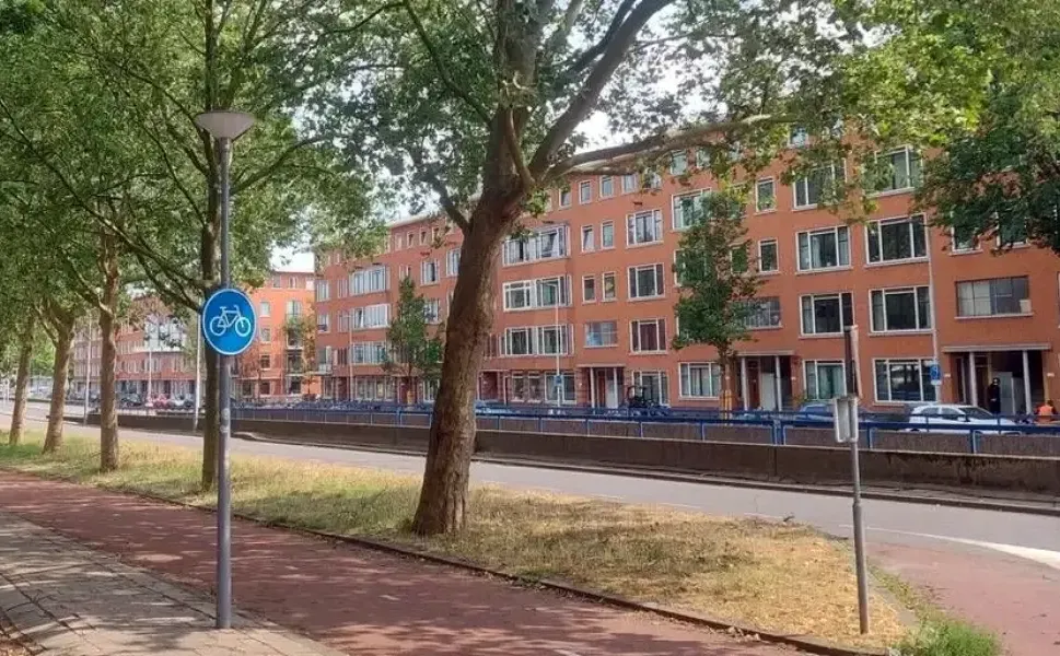 Hollanda'da ev fiyatlarındaki yükseliş yeniden hız kazandı