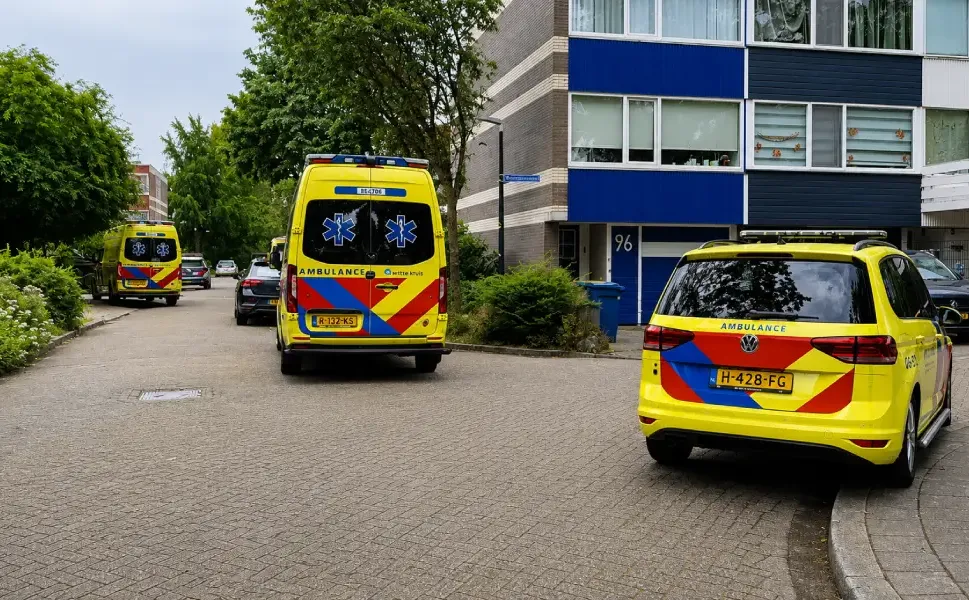 Hollanda'da bugün bir çocuk daha pencereden düştü