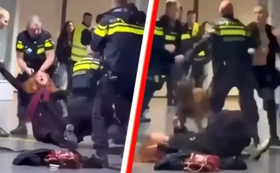 Hollanda polisi Filistinli sığınmacı hamile kadına müdahaleyi 'gerekli' buldu