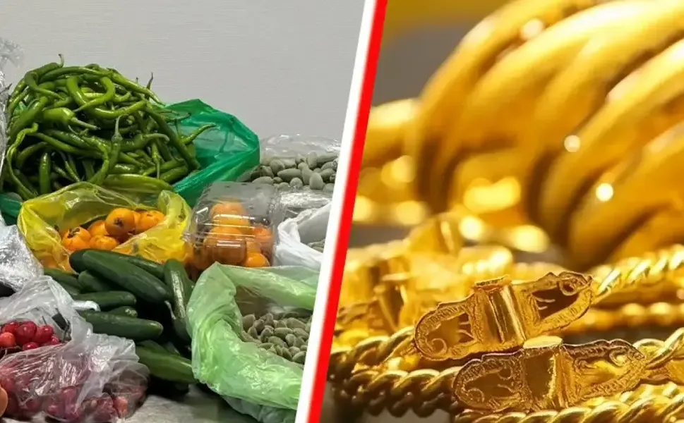 Gurbetçiler Türkiye'den dönerken yanlarında neler getirebilir?