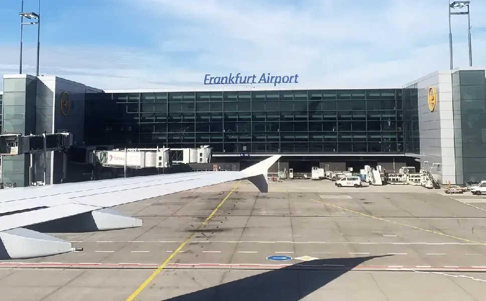 Almanya'da uçaktan çıkan sivrisinek iki havalimanı çalışanının ölümüne yol açtı