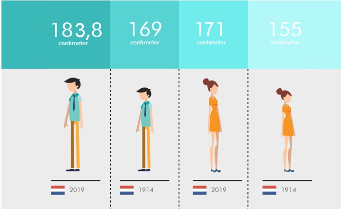Нидерланды рост мужчин. Средний рост. Средний рост голландцев. Средний рост мужчины. Средний рост в Голландии.