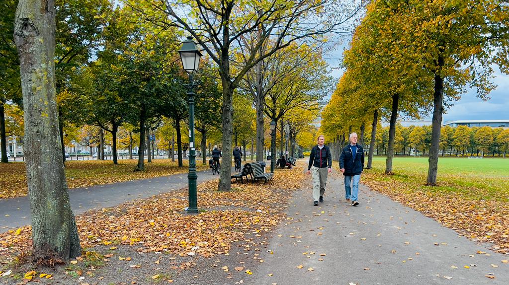 Hollanda’nın Schiedam kentinde, ağaçların renkleri sonbaharın sarı, yeşil, kırmızı ve kahverenginin tonlarına bürünmesiyle güzel görüntüler oluşturdu. 
Fotoğraflar: Abdullah Aşiran