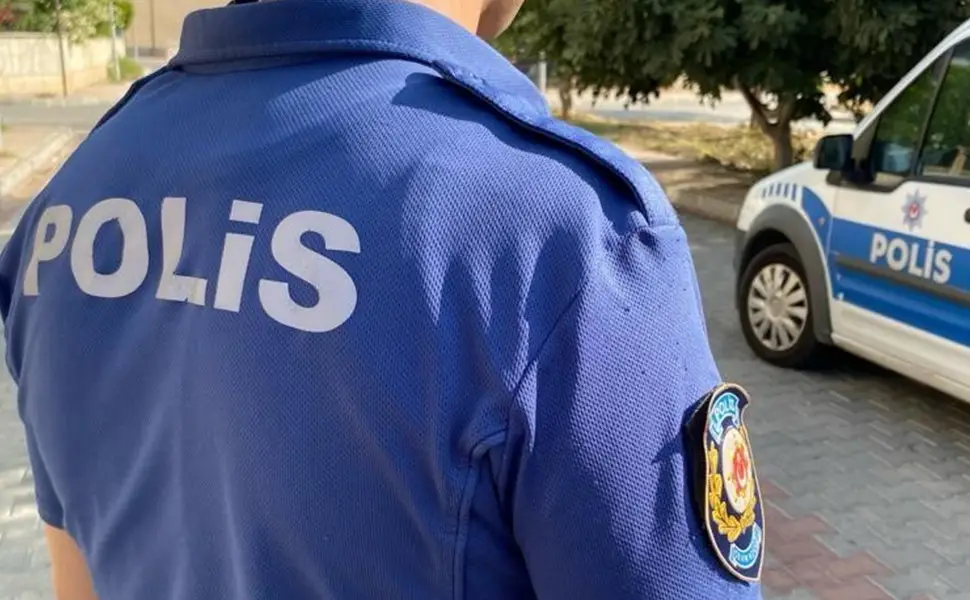 Türkiye'de gurbetçilere kesilen binlerce liralık ehliyet cezaları için açıklama