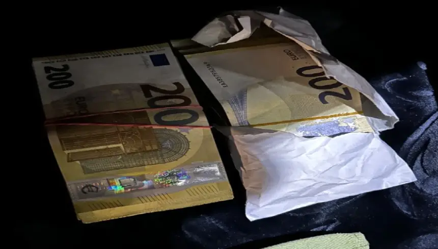 Almanya 40 Bin Euro Türk Aracı