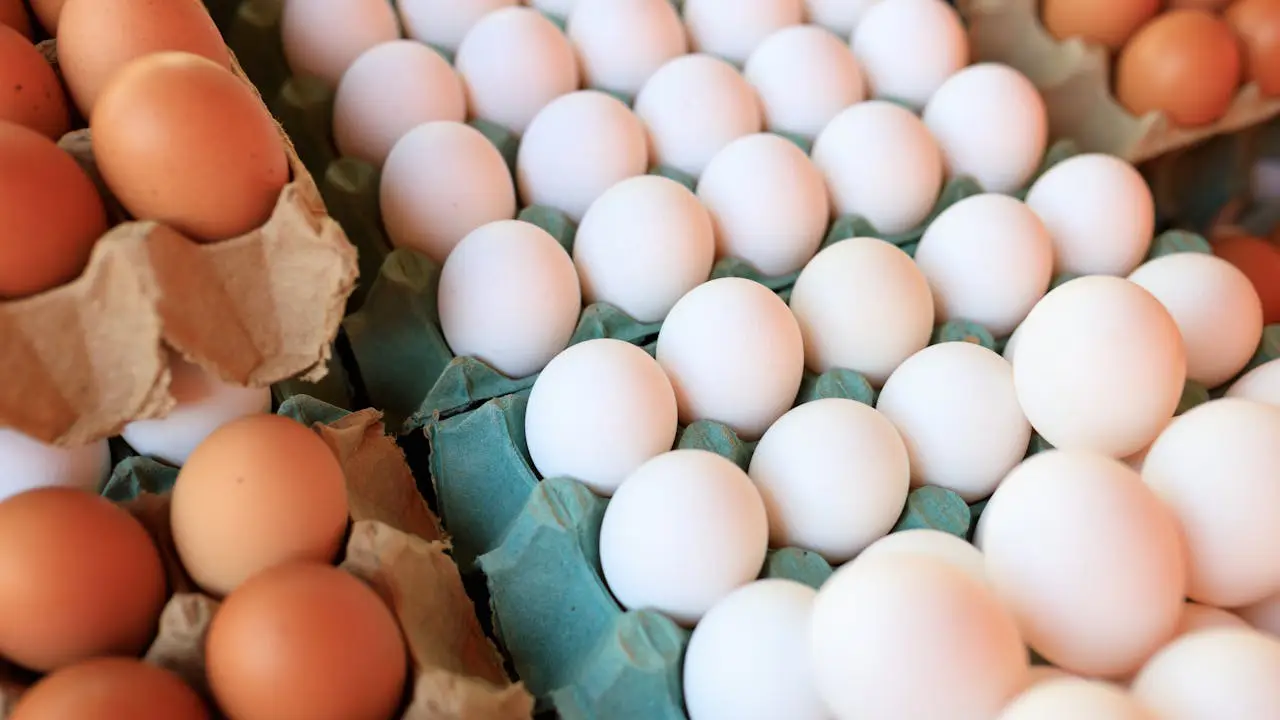 Hollanda’da yumurta fiyatları rekor seviyeye ulaştı