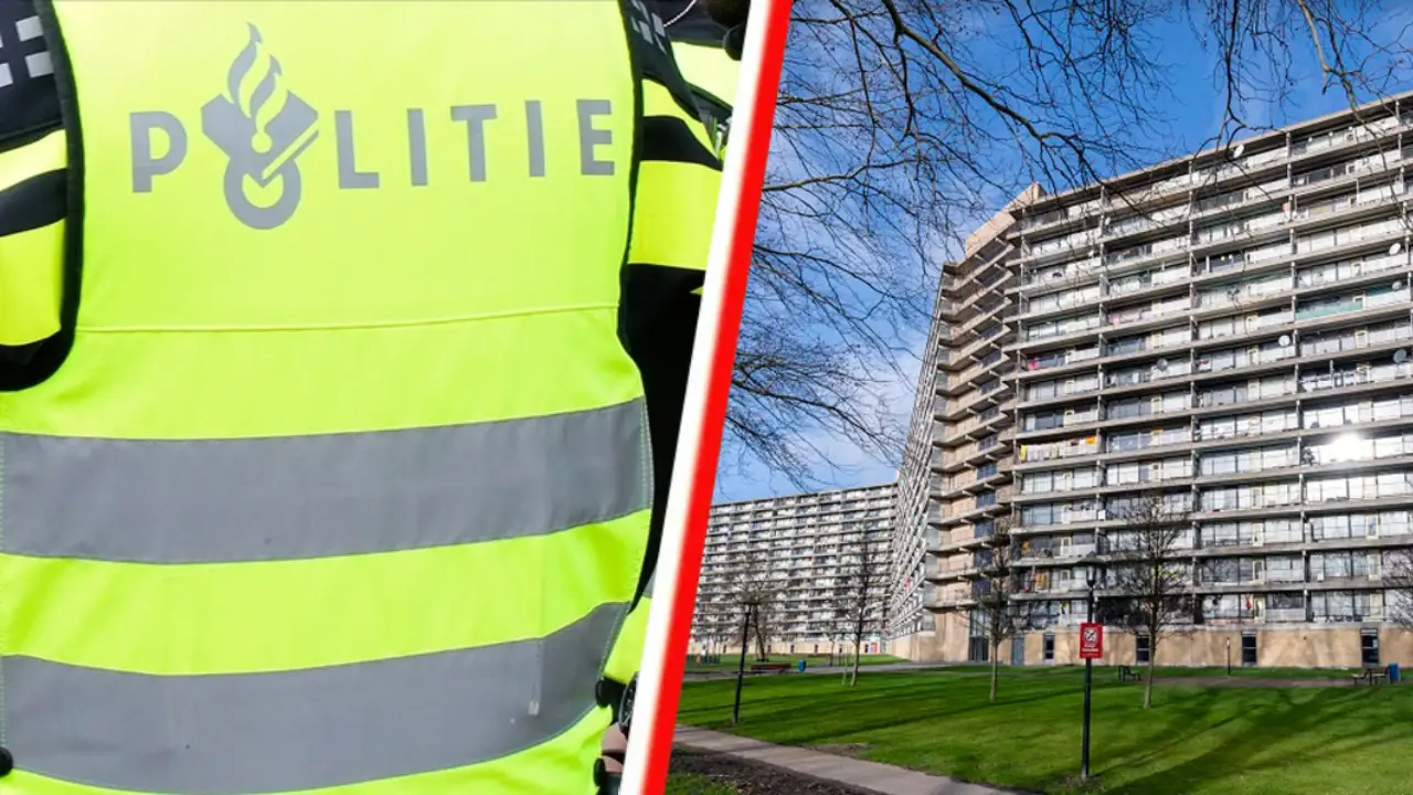 Hollanda’da aynı okuldan 16 ve 14 yaşındaki iki genç hayatına son verdi