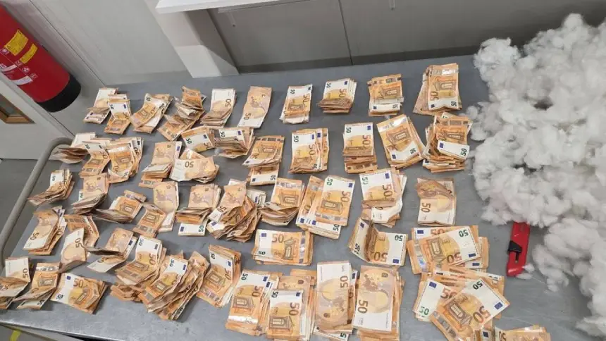 Oyuncak Ayı 50 Bin Euro