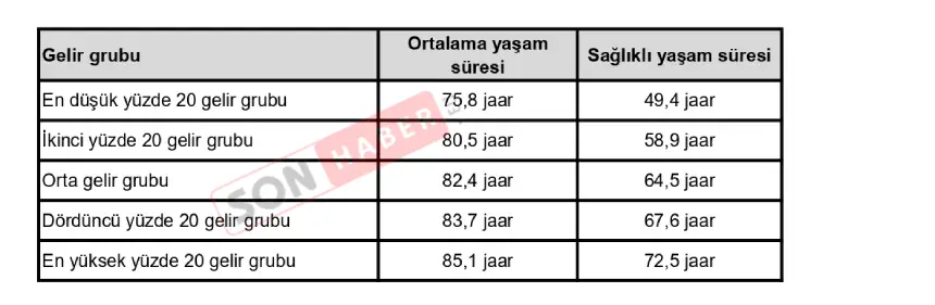 Gelir Yaşam Beklentisi Karşılaştırması Hollanda Page 0001