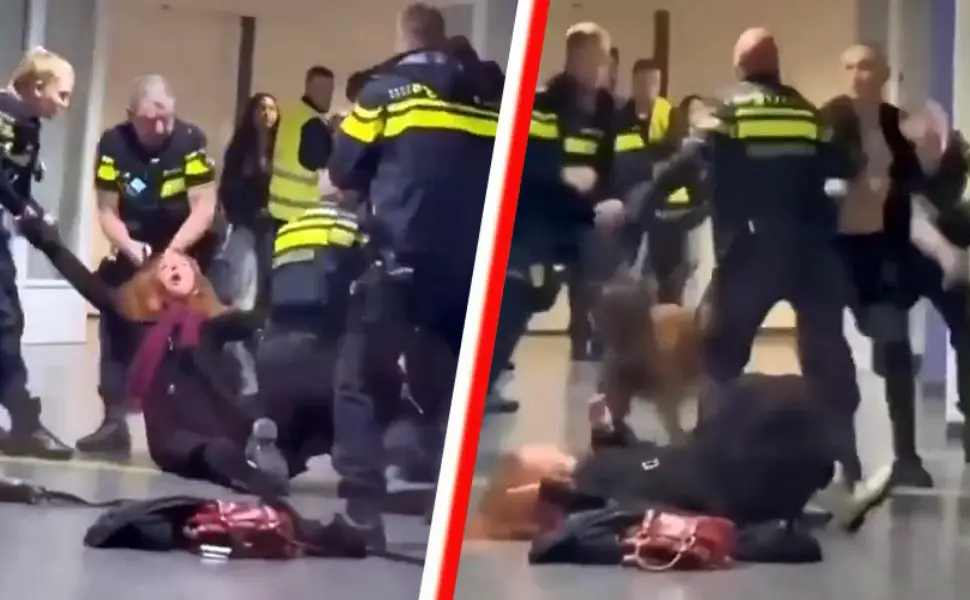 Hollanda'da Filistinli hamile kadın ve eşine yönelik polis müdahalesinde yaşananlar