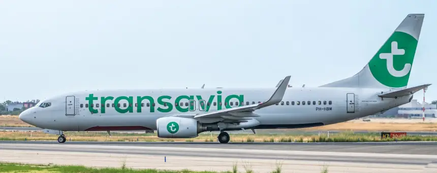 Pexels Transavia Ara Foto