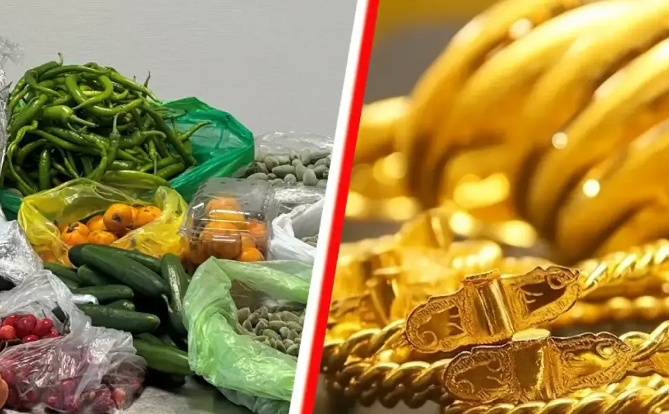 Gurbetçiler Türkiye'den dönerken yanlarında neler getirebilir?